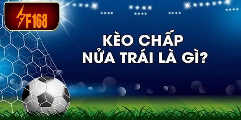 Cách đọc kèo bóng đá tại F168 chính xác và dễ hiểu năm 2025 7 Cách đọc kèo bóng đá tại F168 0.5 sẽ không có trường hợp hòa tiền